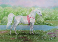 WOREK Z KONIEM ARABSKIM "Nilay - Grey Arabian Horse" ©DH