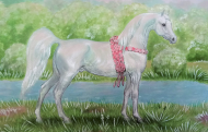 KALENDARZ Z KONIEM ARABSKIM "Nilay - Grey Arabian Horse" ©DH