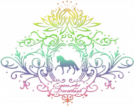 EKO TORBA Z KONIEM - Emblem with a Rainbow Dressage Horse and a lotus ©DH