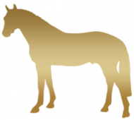 KOSZULKA DZIECIĘCA Z KONIEM NADRUK Z 2 STRON - Emblem with a Oldenburger Stallion Horse and a Lotus ©DH