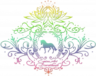 BODY NIEMOWLĘCE Z KONIKIEM - Emblem with a Rainbow Dressage Horse and a lotus ©DH