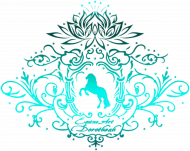 BODY NIEMOWLĘCE  Z TURKUSOWYM KONIEM - Emblem with a Friesian Horse and a Lotus ©DH