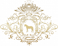BODY NIEMOWLĘCE Z KONIEM - Emblem with a Oldenburger Stallion Horse and a Lotus ©DH