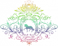 CZAPKA Z DASZKIEM Z TĘCZOWYM KONIEM -Emblem with a Rainbow Dressage horse and a lotus ©DH