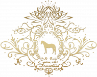 T-SHIRT DZIECIĘCY, KOLORY, Z KONIEM - Emblem with a Oldenburger Stallion Horse and a Lotus ©DH
