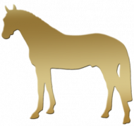 BLUZA ROZPINANA DZIECIĘCA NADRUK Z 2 STRON Z KONIEM - Emblem with a Oldenburger Stallion Horse and a Lotus ©DH