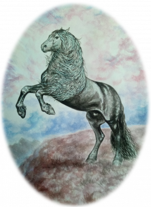 KOŃ FRYZYJSKI OGIER - VIMAL ©DH - KOSZULKA Z KONIEM