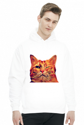 Śmieszny Kot - Funny cat - GeometricSweetAnimals.pl