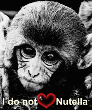 goryl i don't love  nutella
