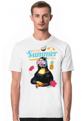 In the Summer time - Cool monkey