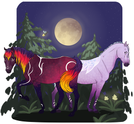 Star Stable Ayla Umbra