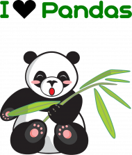 Koszulka z pandą I love pandas