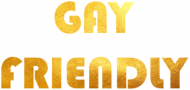 Przyjazny Gejom  czapka z daszkiem Gay Friendly złote litery