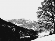 Bluzka męska z biało-czarnym nadrukiem - góry Alpy, Austria
