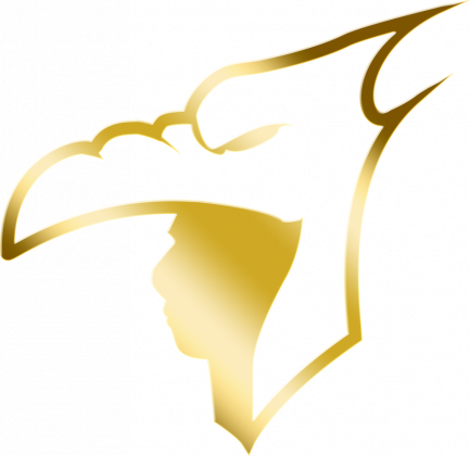 koszulka damska logo gold