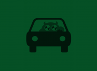 Maseczka Dziecięca Green Auto