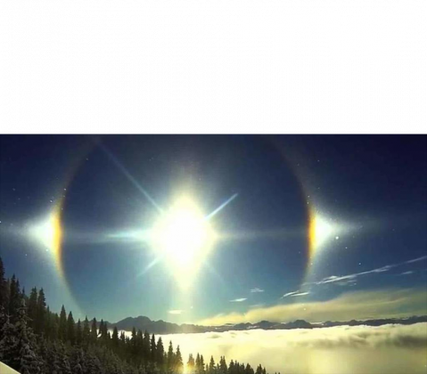 Koszulka damska z naszym logo oraz grafiką niebocentryzmu