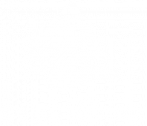 are you kittin me?