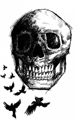 Koszulka damska Raven Skull