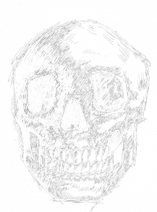 Koszulka męska Skull BW