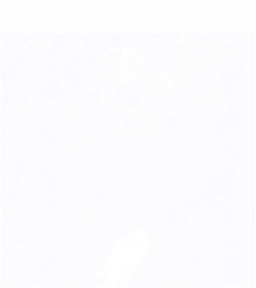 Bluza Sunflower, Vol.6 Black