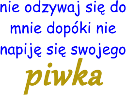 nie odzywaj się do mnie dopóki nie napiję się swojego piwka - koszulka