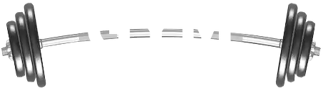 GymLover Classic Bluza WM