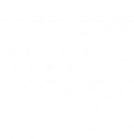 śmieszna koszulka dla introwertyka, koszulka z nadrukiem, koszulka męska, koszulka z napisami