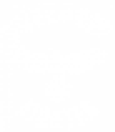 bluza freedom fighter