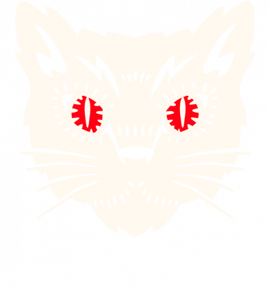 koszulka słodki kociak