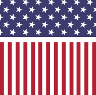 US Flag koszulka męska