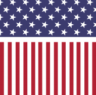 US Flag bluza z kapturem