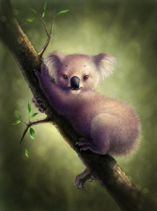 Maseczka - Słodki Miś Koala