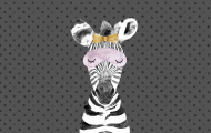 Maseczka Kolorowa Zebra