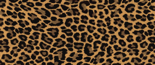 Leopard Mug