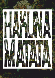 HAKUNA MATATA