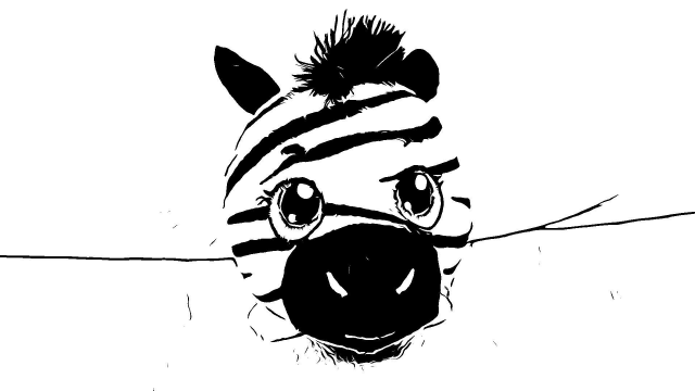 zebra