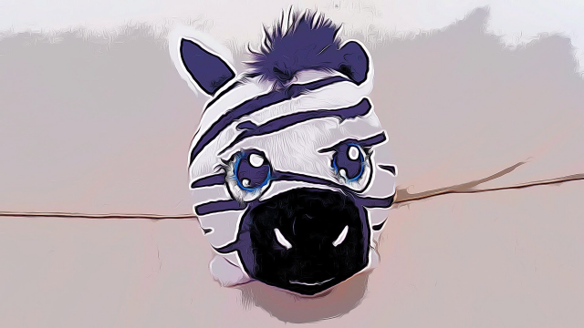 zebra