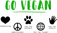 Kubek "Why vegan"