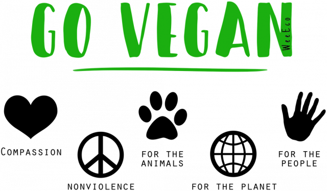 Koszulka "Why vegan" damska