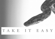 T-shirt Take It Easy