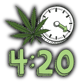 Koszulka 420