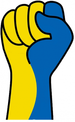 koszulka wolna ukraina pięść dłoń flaga męska - nadruk