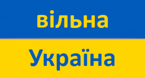 bluza unisex wolna ukraina flaga - nadruk
