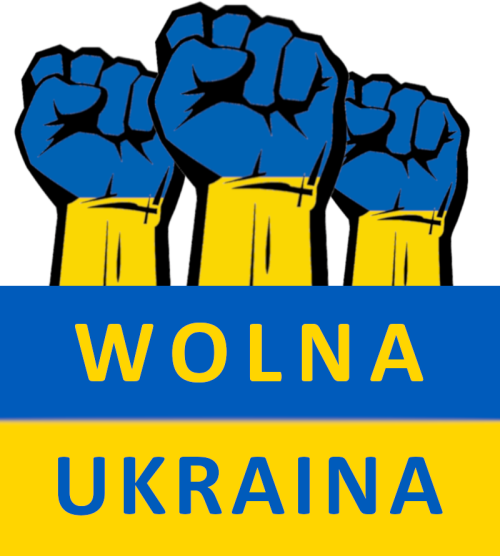 koszulka wolna ukraina flaga pięści walka męska