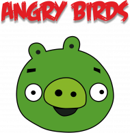 Koszulka dziecięca Angry Birds