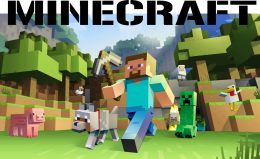 Koszulka - Minecraft.