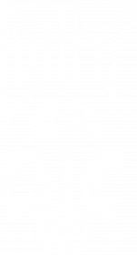 RI old logo, diy or die
