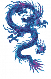 Bluza NeverFadeAway - DRAGON 2