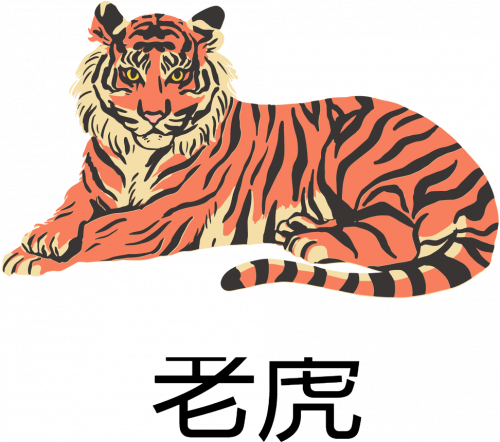 Bluza NeverFadeAway Tiger